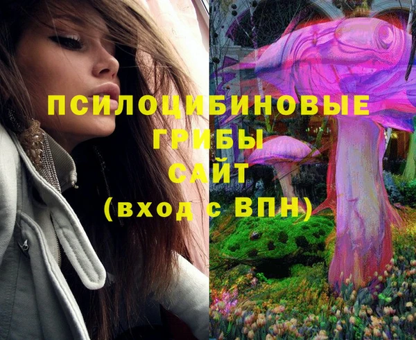 круглые Заводоуковск