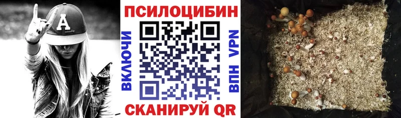 Купить где  Карталы  Галлюциногенные грибы Cubensis 